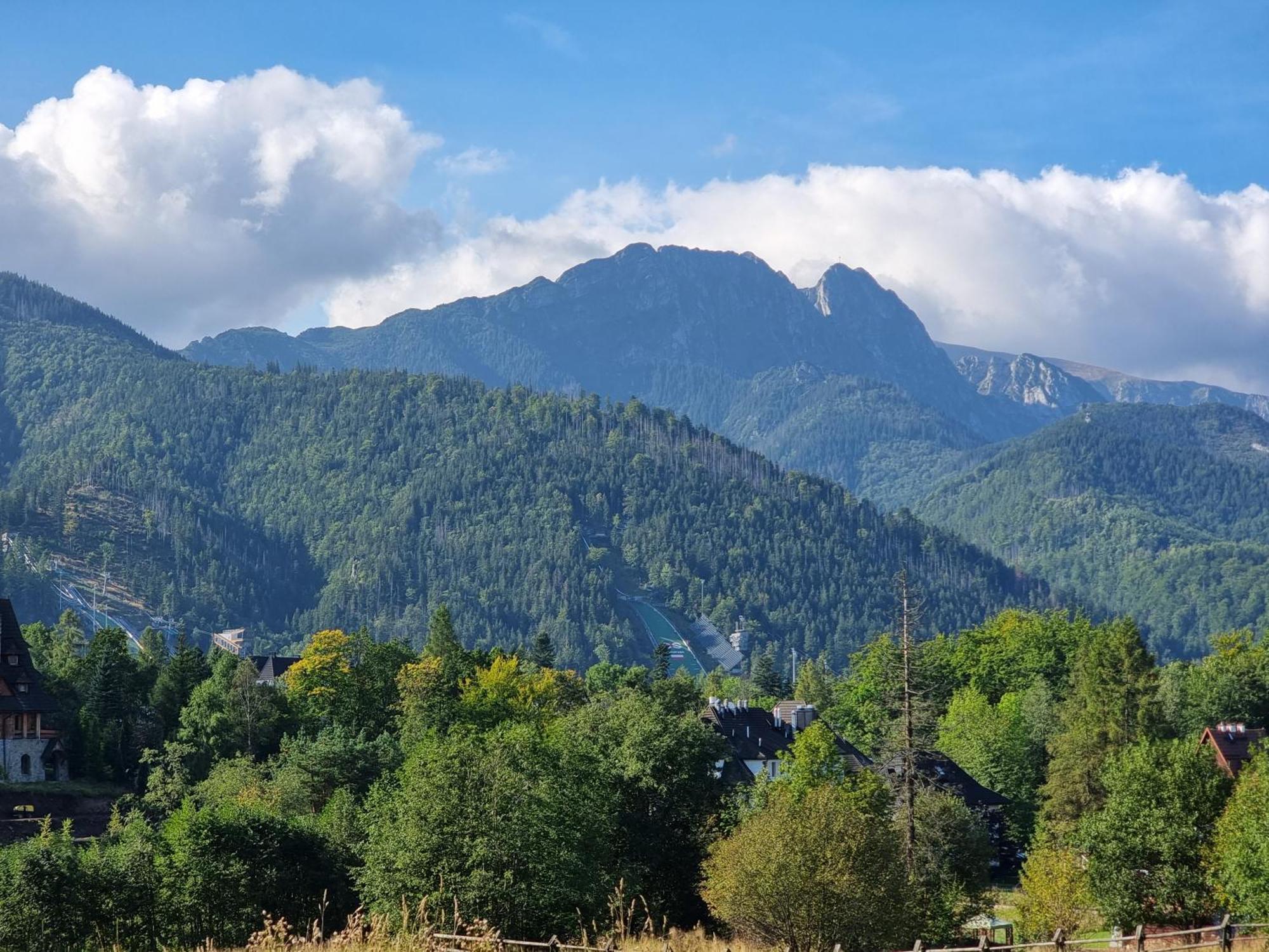 Gontyna — Photos 1